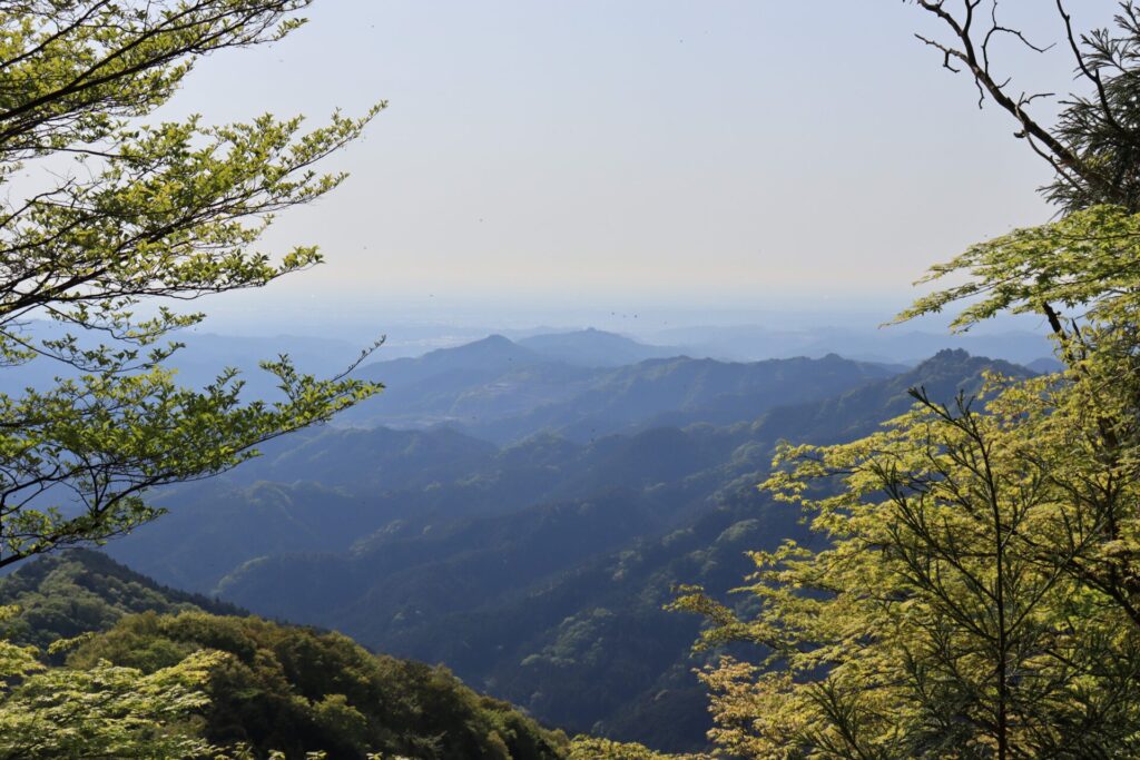 伊豆ヶ岳山頂からの展望
