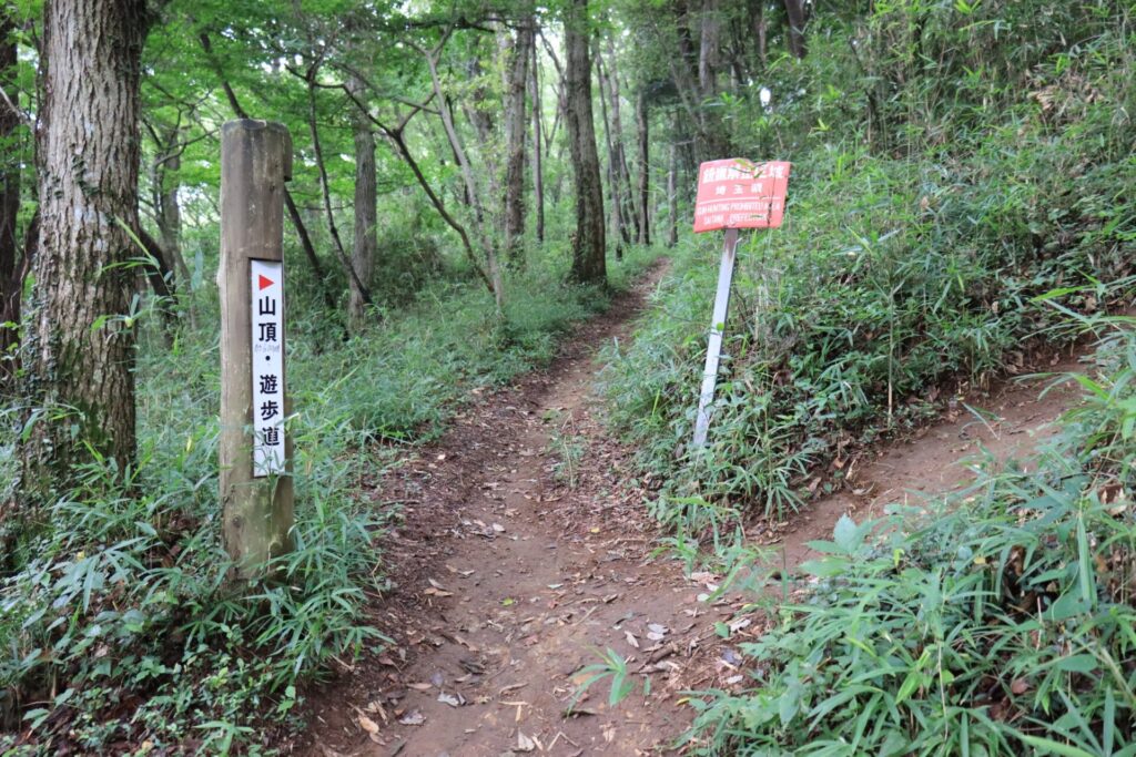 仙元山登山道１