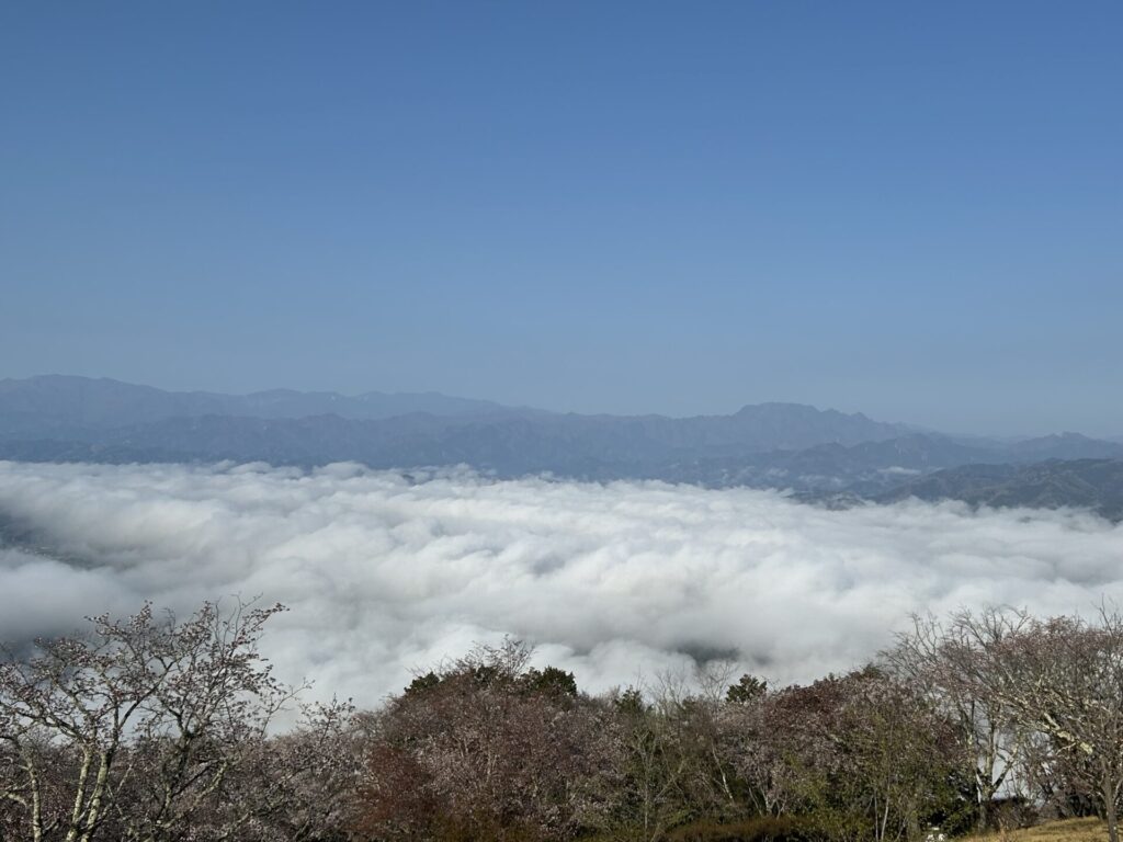 両神山と雲海