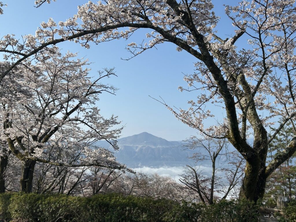 武甲山と桜と雲海の三重奏