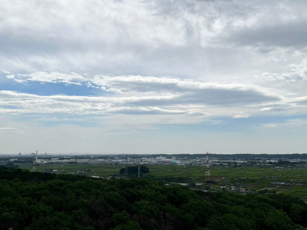 桜山展望台からの眺め飯能市街