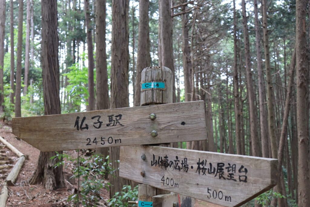 阿須山桜山展望台