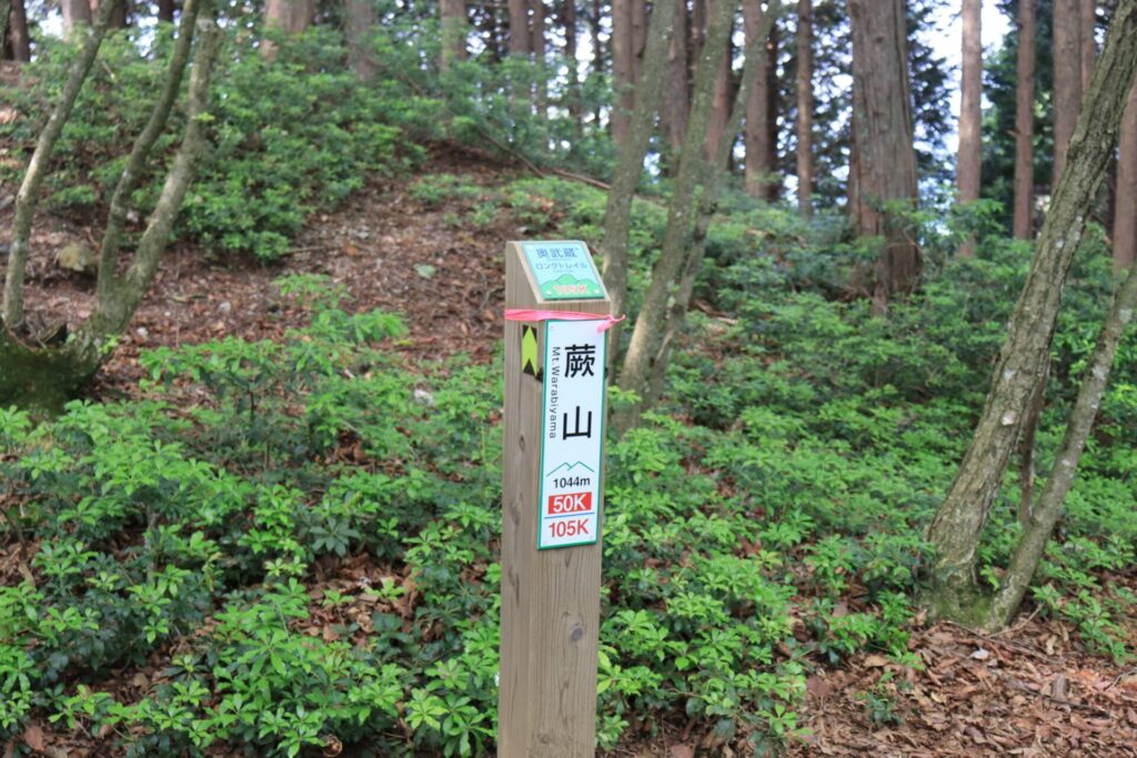 奥武蔵ロングトレイルの蕨山標識
