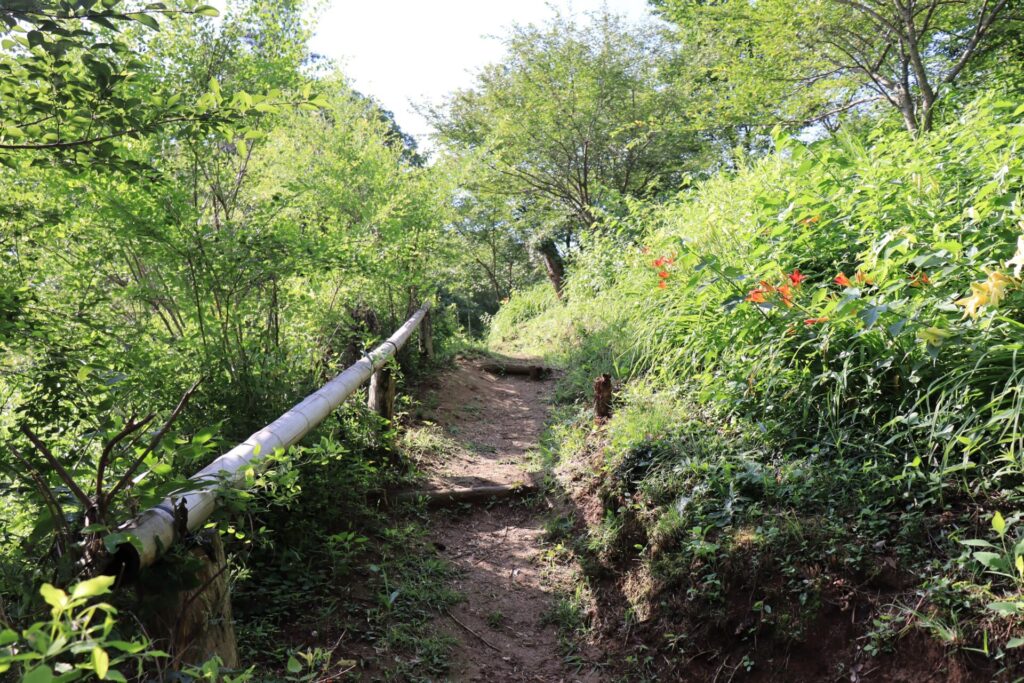 堂ノ入山登山道