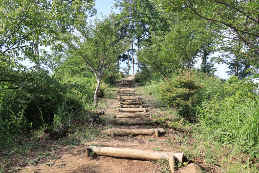 堂ノ入山山頂直下登山道