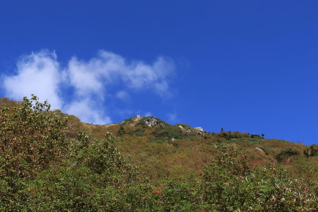 笠新道と青い空