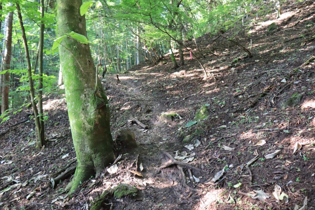 二子山登山道