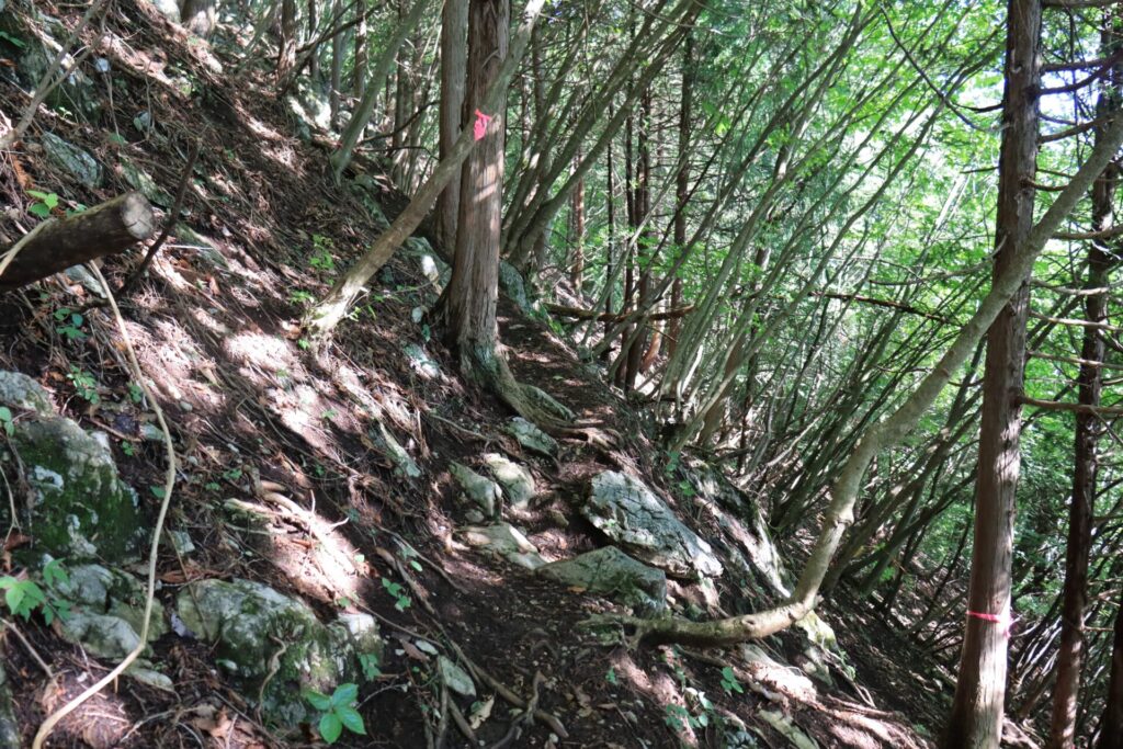 西岳登山道