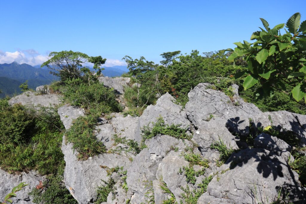 二子山稜線の始まり