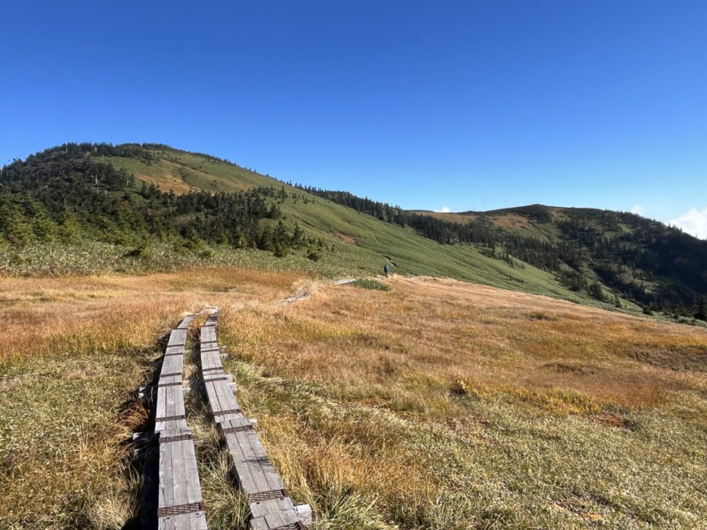 会津駒ケ岳への登山道と草紅葉