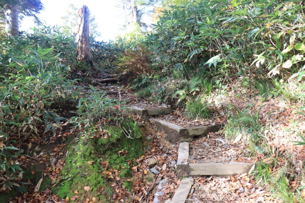 整備された登山道