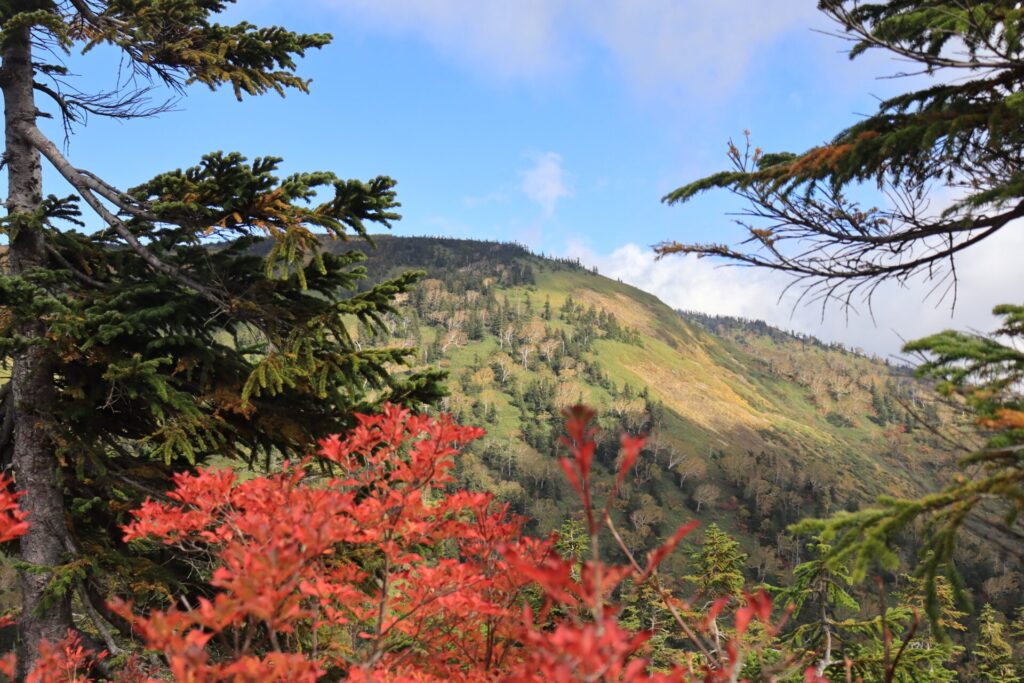 中門岳の稜線