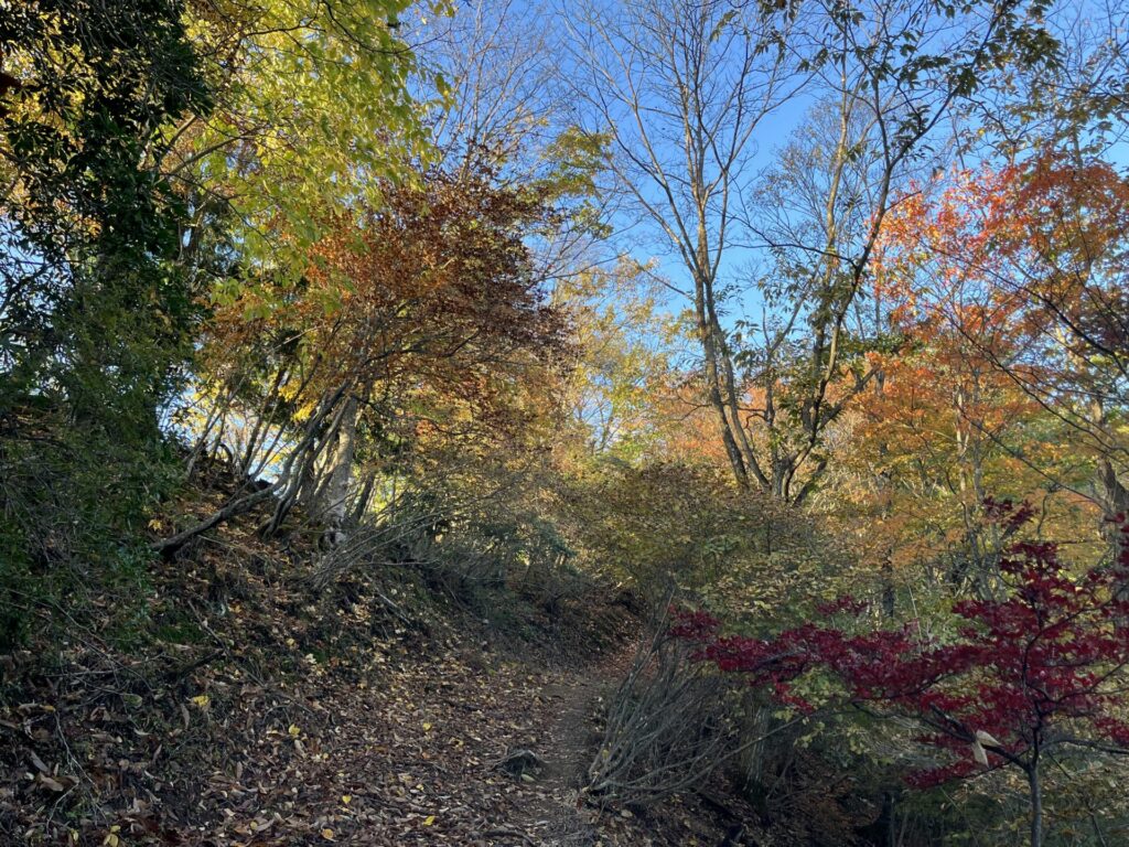 志賀坂諏訪山紅葉が見える登山道