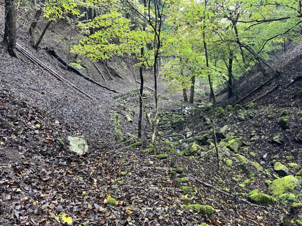 志賀坂諏訪山下山の谷ルート