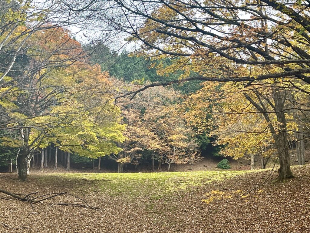 ウノタワ入口