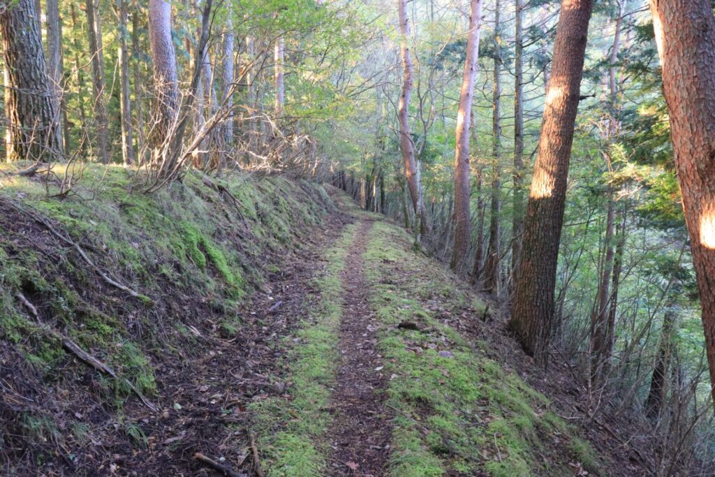 志賀坂諏訪山綺麗な登山道