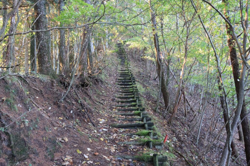 志賀坂諏訪山整備された階段