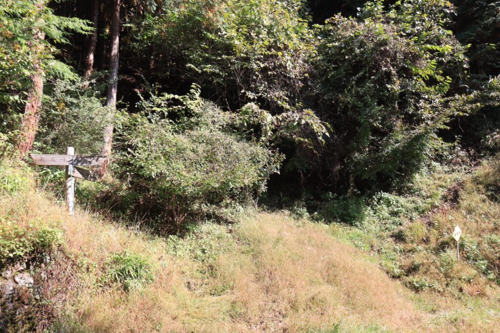 杉ノ峠登山口