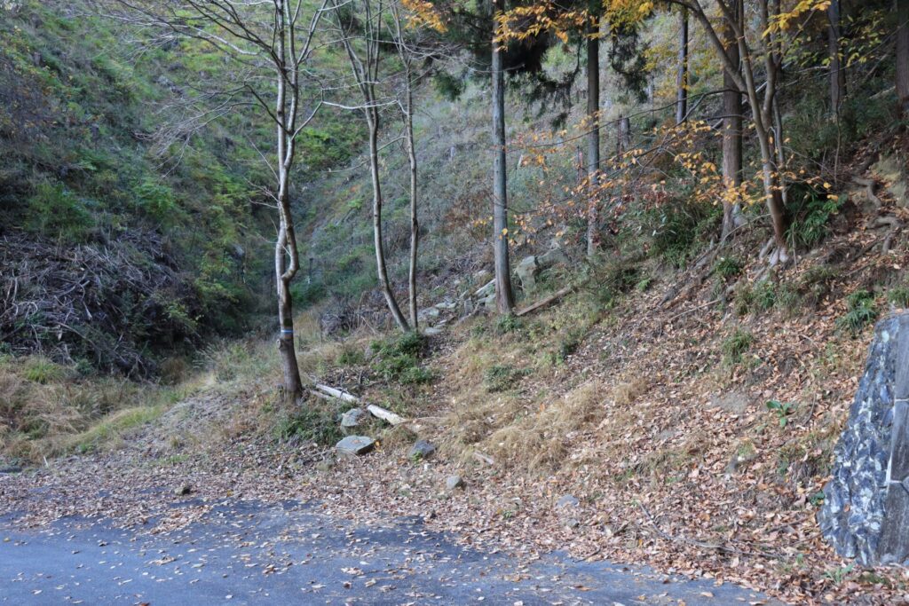 品刕林道登山口