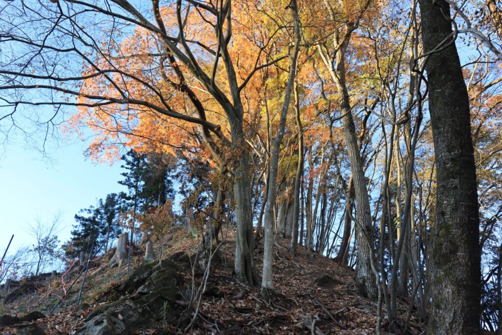 品刕尾根の紅葉