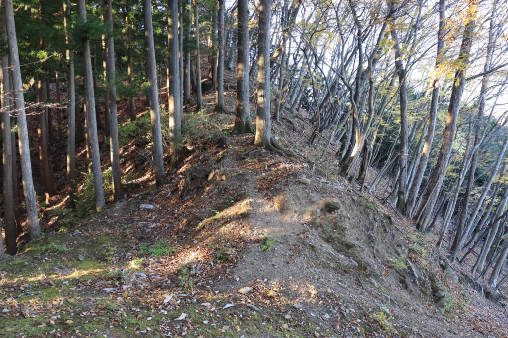 品刕登山道尾根の急登