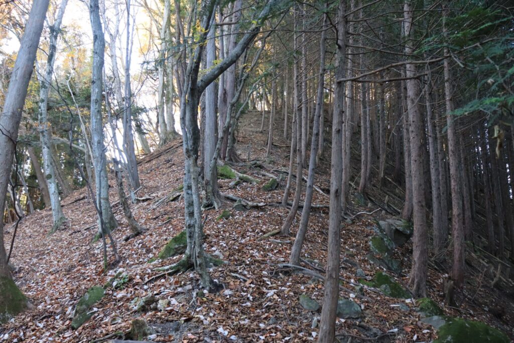 品刕登山山頂手前の急登