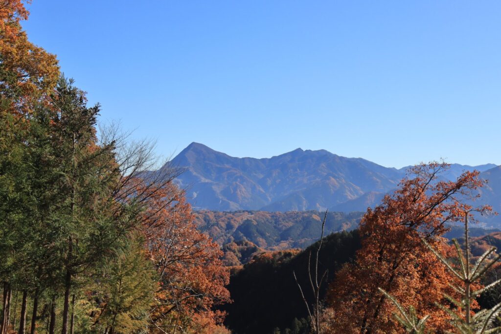 釜ノ沢からの武甲山と大持山