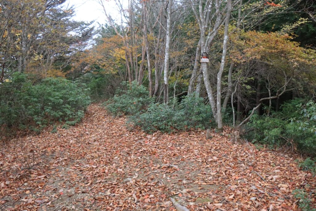 横倉山山頂広場