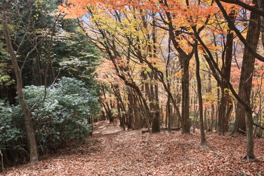 横倉山～ウノタワ