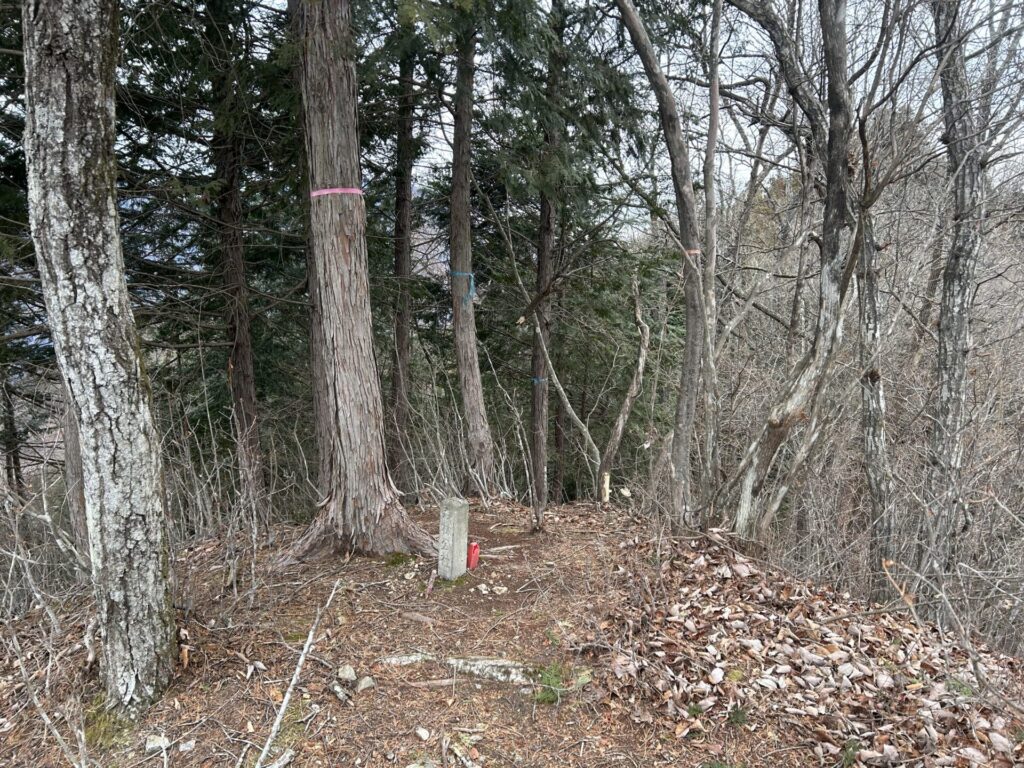 山名のないピークの山頂