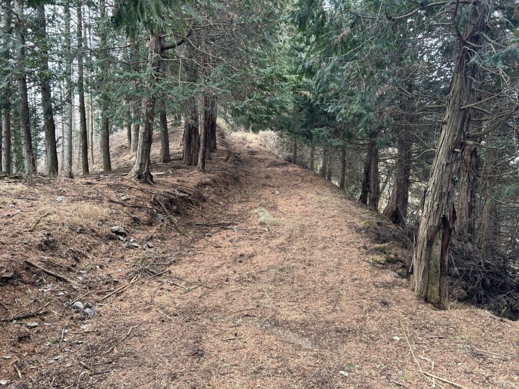 塚山広い登山道