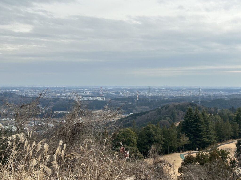 石尊山(毛呂山三角点からの景色