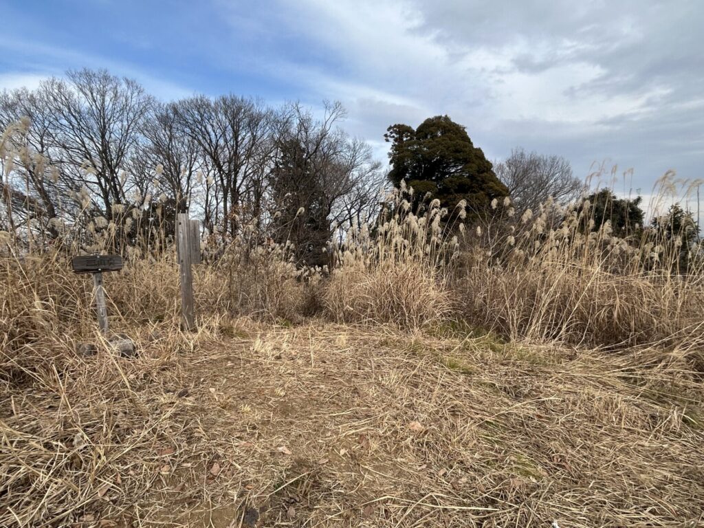 石尊山(毛呂山)三角点広場