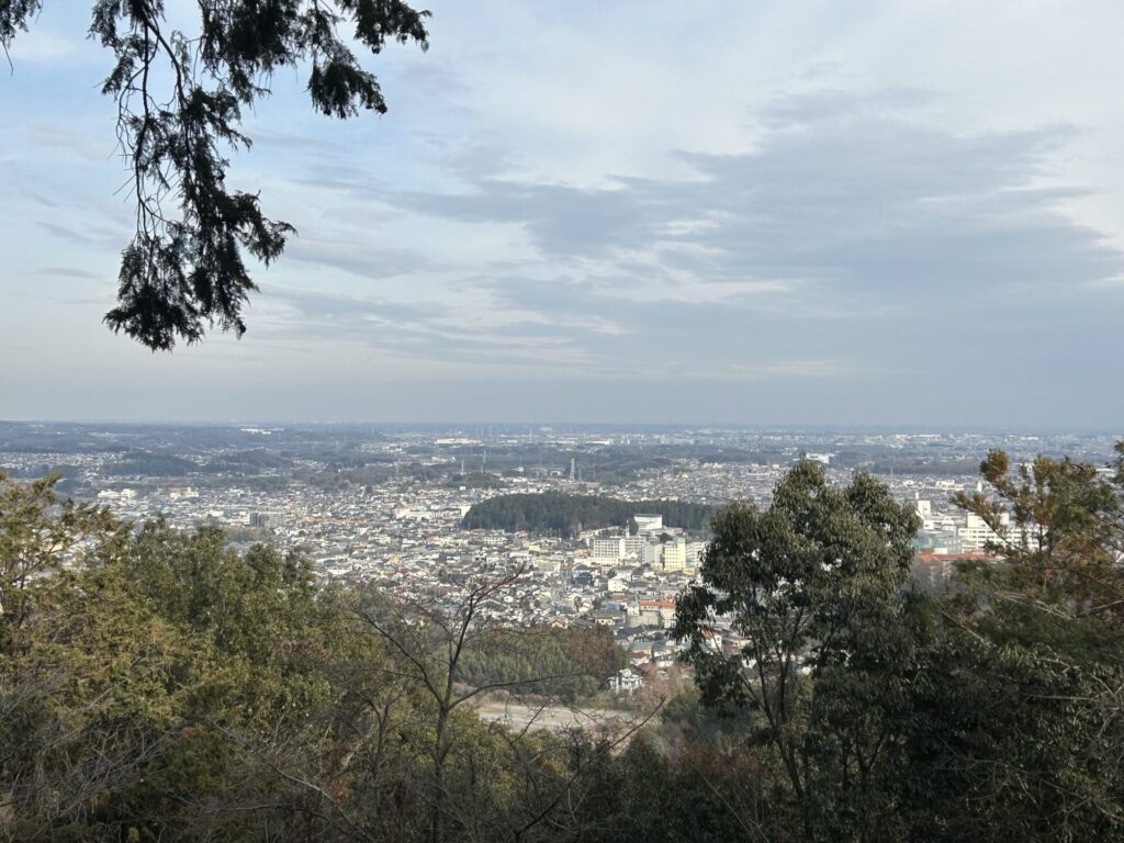 竜ヶ谷山山頂からの眺め