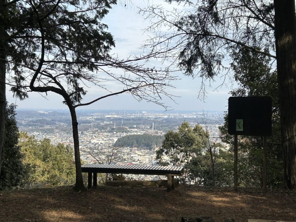 竜ヶ谷山登山