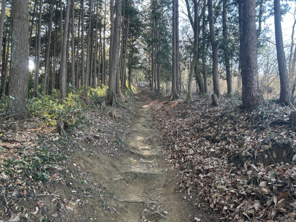 高取山登山道