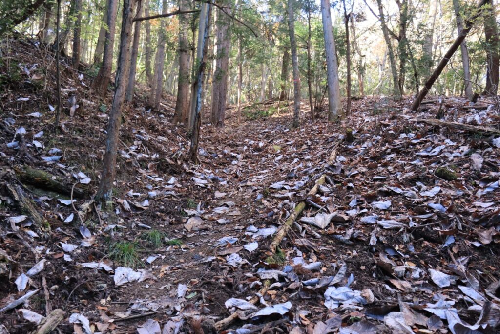 釜ノ沢五峰登山急登