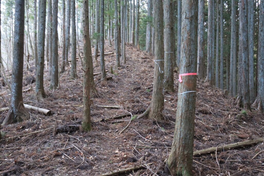 塚山登山道尾根取り付き