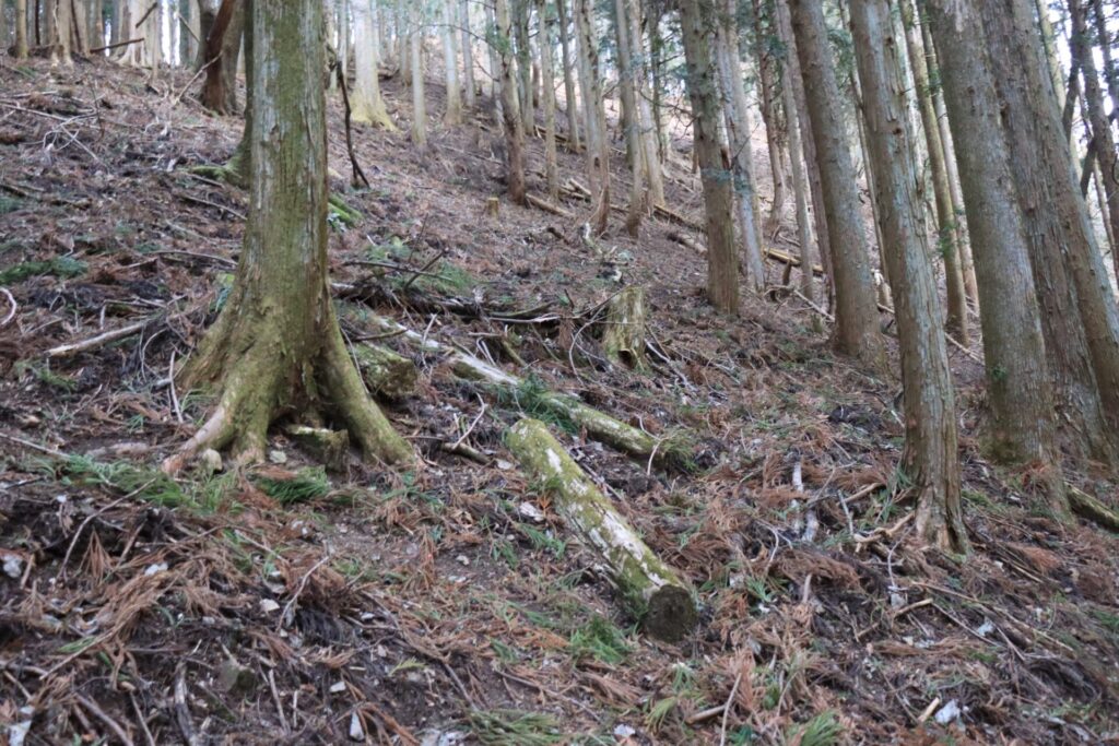 竹ノ茅山の急登の足場