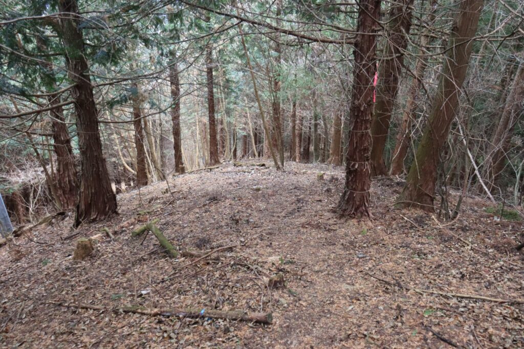 塚山登山道樹林帯からの下り