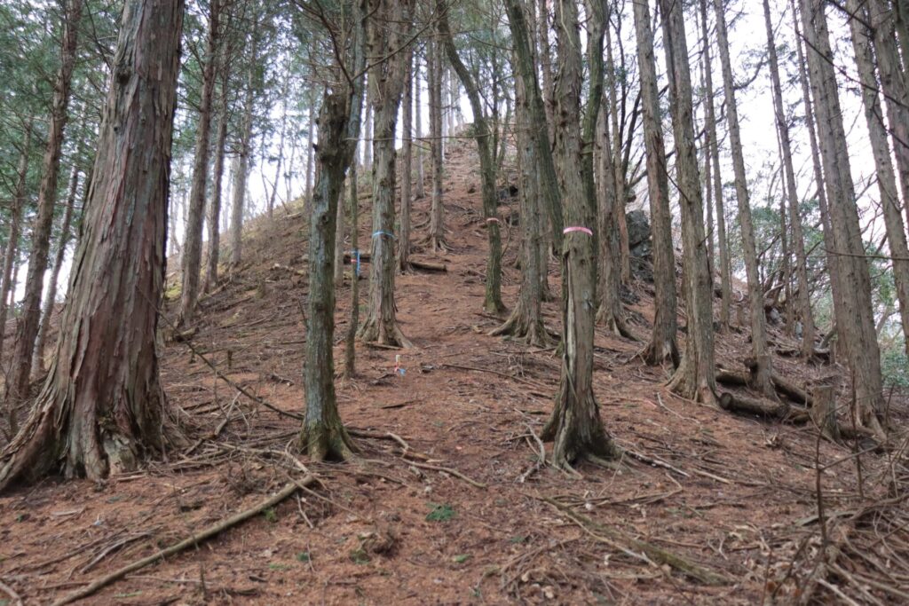 山名のないピークの急登