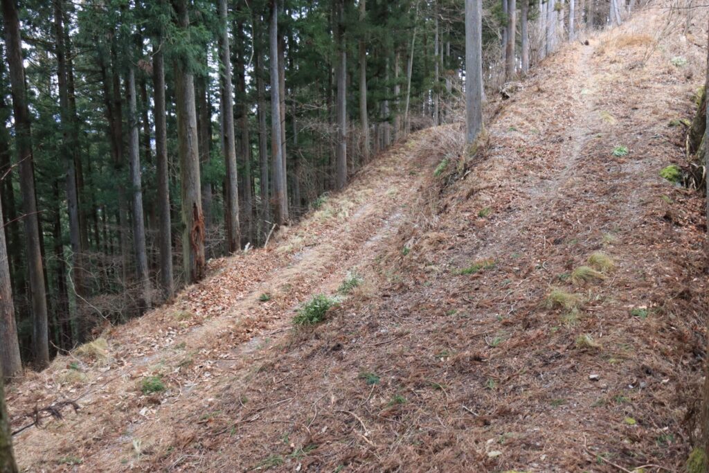 塚山林道分岐