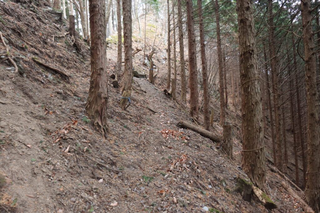 塚山登山道祠の手前