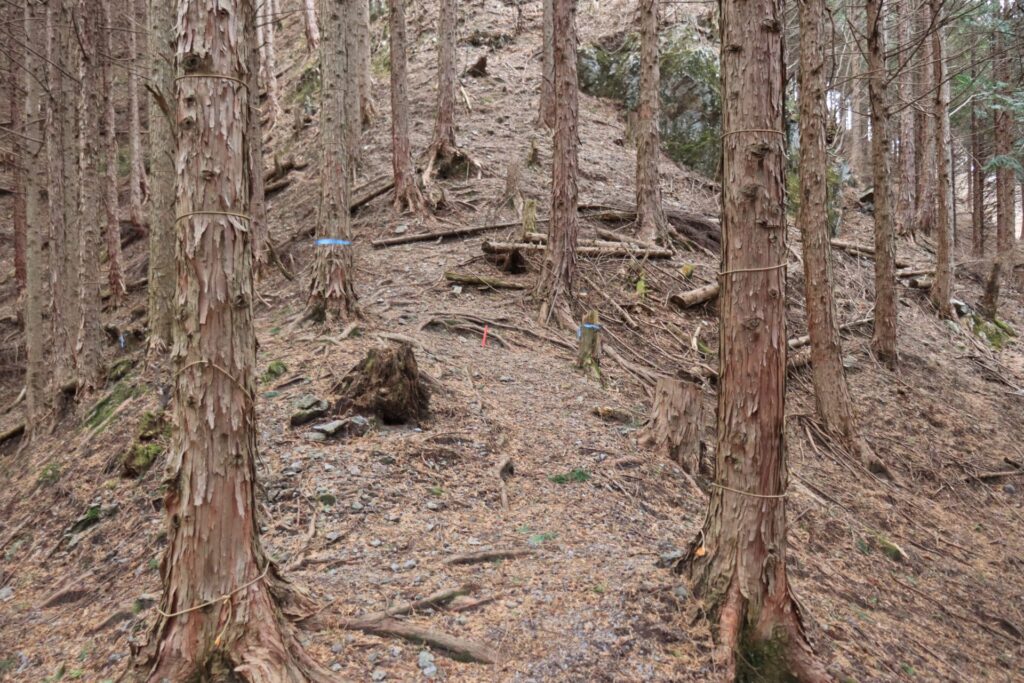 塚山登山口近くの迷所