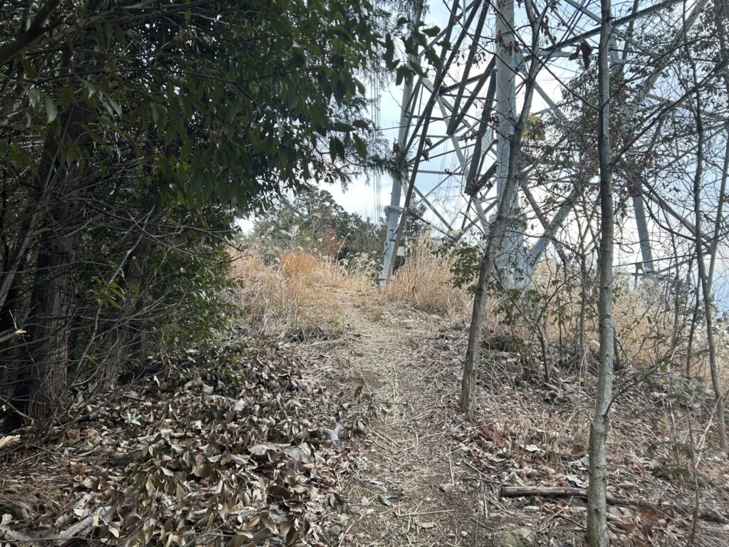 向山への登山道