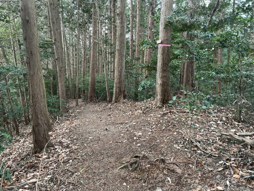 大平山(毛呂山)登山道