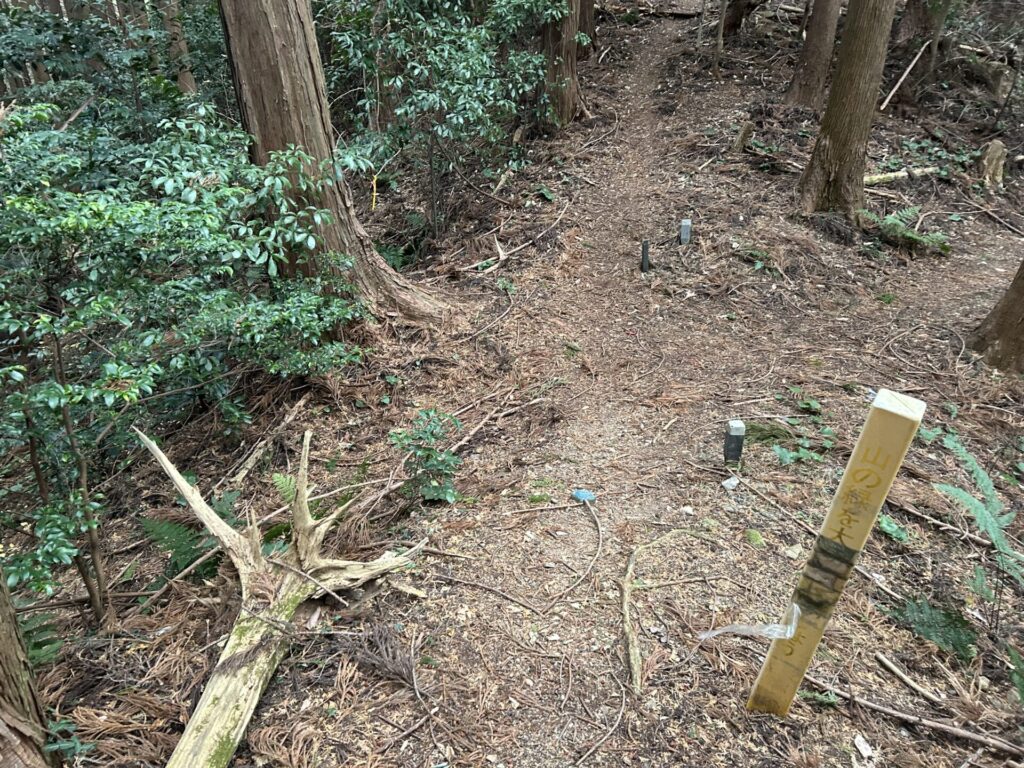 大平山(毛呂山)登山道ショートカット分岐