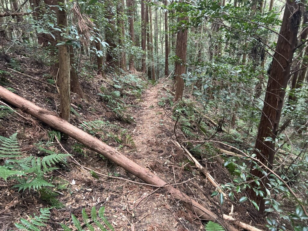 ショートカットと登山道