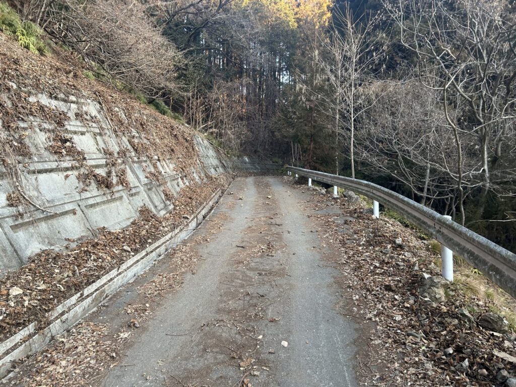 両見山登山道の林道