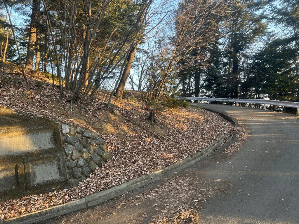 両見山登山道カーブ